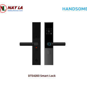 DTS4203 Smart Lock